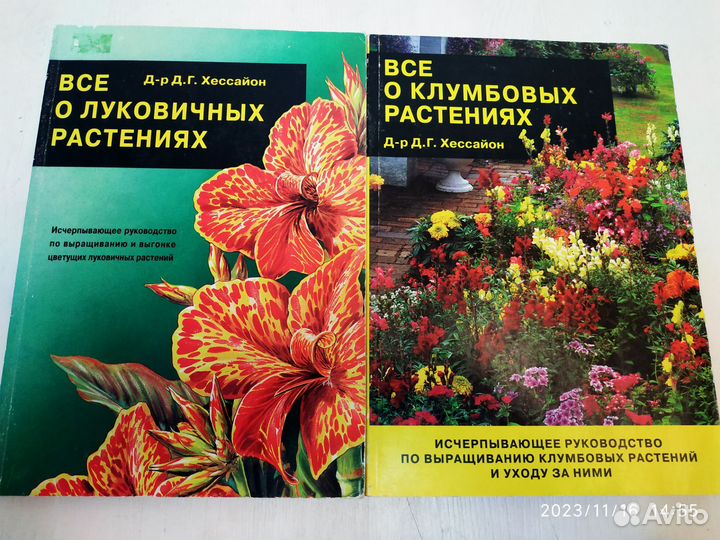 Хессайон, всё о клумбовых растениях