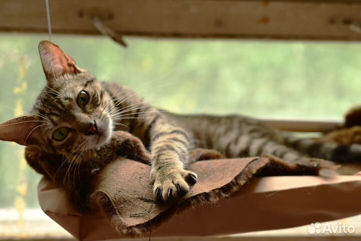 Мальчишки шалунишки