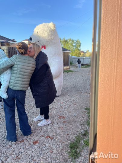 Эксресс поздравление ростовая кукла белый мишка