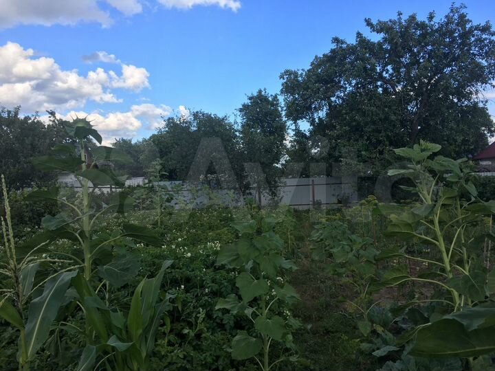 Участок 6 сот. (ИЖС)