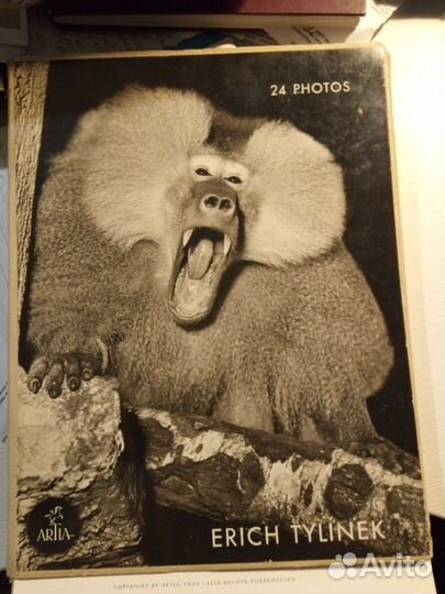 Фотоальбомы - артисты и животные 9 шт ретро