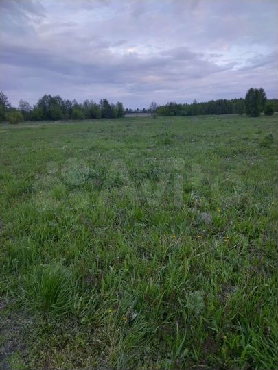 Участок 40 сот. (ИЖС)