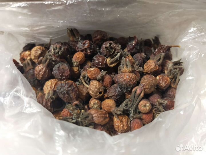 Сухостой-семена