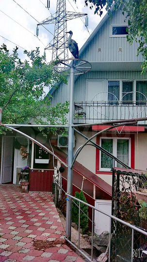 Дом 84,3 м² на участке 6 сот.