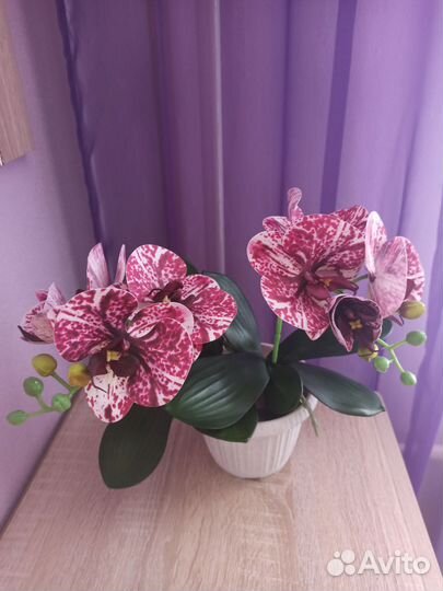 Орхидея искусственная