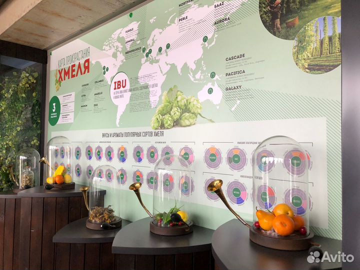 Экскурсия-дегустация на пивоваренный замок «таркос