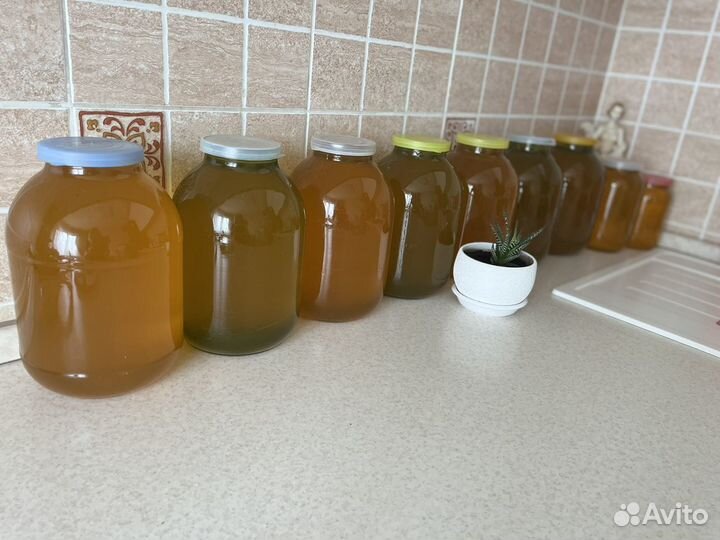 Мед 2023 мёд свежий. Мёд в сотах