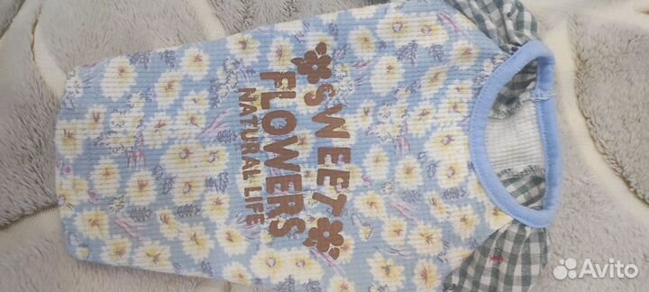 Одежда для маленьких собак xs