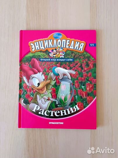 Энциклопедия Disney. Открой мир вокруг себя