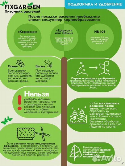 Лапчатка желтая/белая Высота от 50см