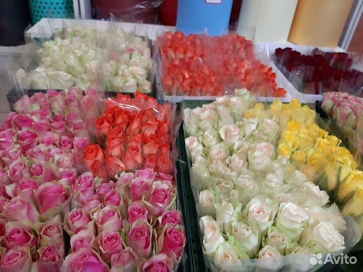 Розы, цветы, букеты, доставка цветов