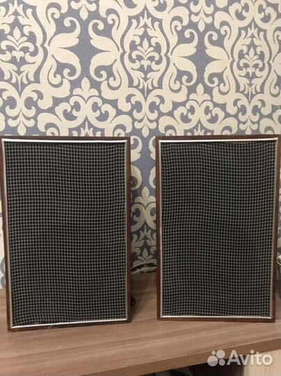 Акустическая система 10 ас-401