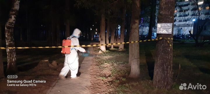 Акарицидная обработка от клещей