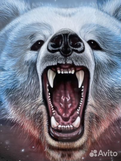 Аэрография на колпак запасного колеса