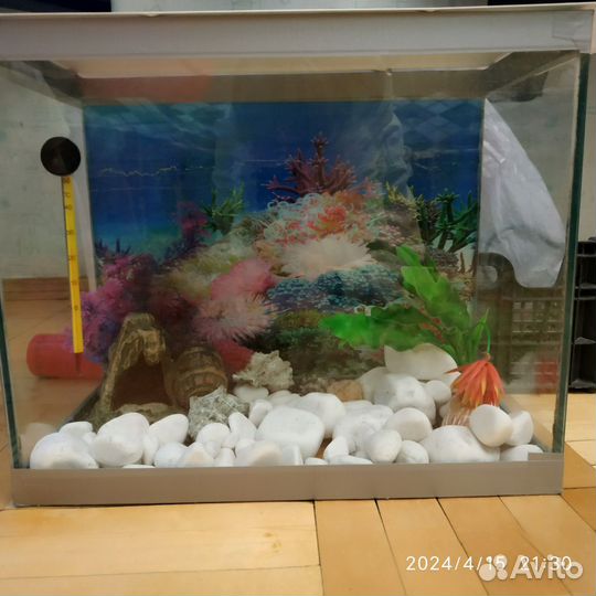 Аквариум 20 литров