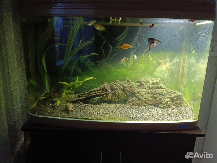 Аквариум с тумбой jebo