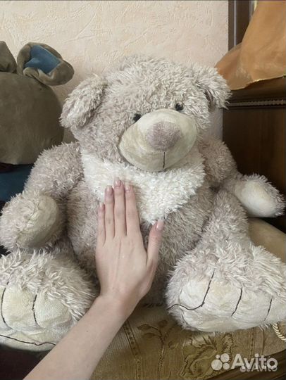 Большие медведи