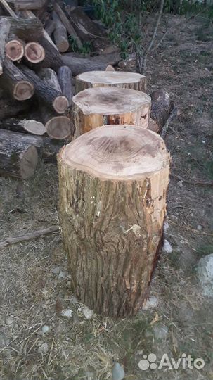 Колода для колки дров.торцевые спилы карагача