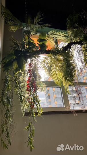 Подвес с растениями над окном