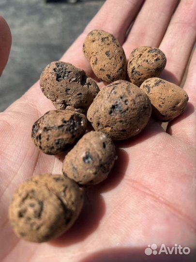 Керамзит в бетона