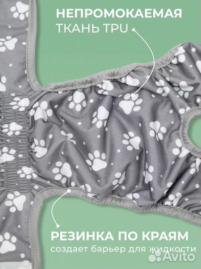 Трусы для животных