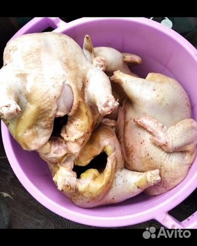 Мясо бройлеров,Фарш куриный