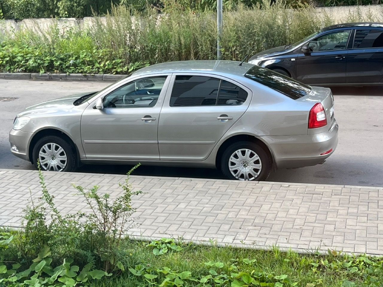 Skoda Octavia: фото владельца