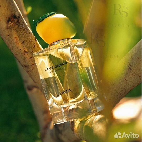 Dolce Gabbana Fruit Collection Lemon