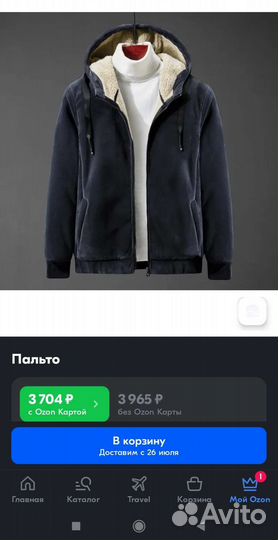 Толстовка утеплённая мужская