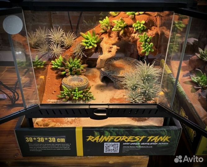 Оформление террариума