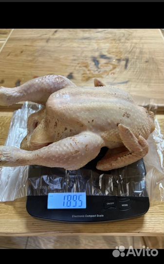 Мясо домашней курицы и яиц