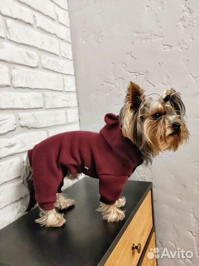 Одежда для собак /Комбинезон/Дождевик