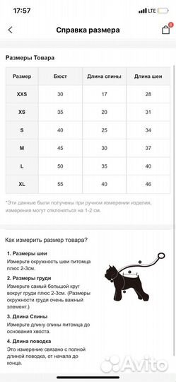 Кофта для кошки с заячьями ушами