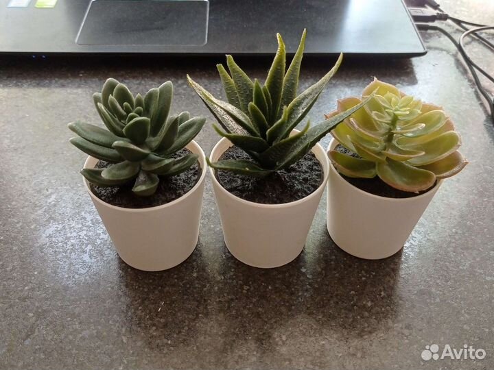 Искусственные цветы IKEA