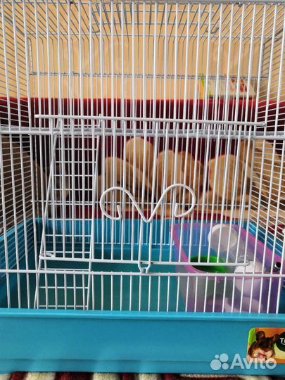 Клетка для грызунов