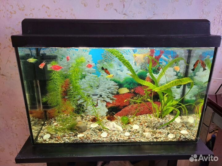 Аквариум