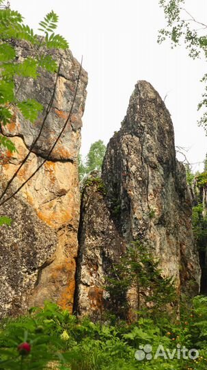 Летний поход на Поднебесные зубья