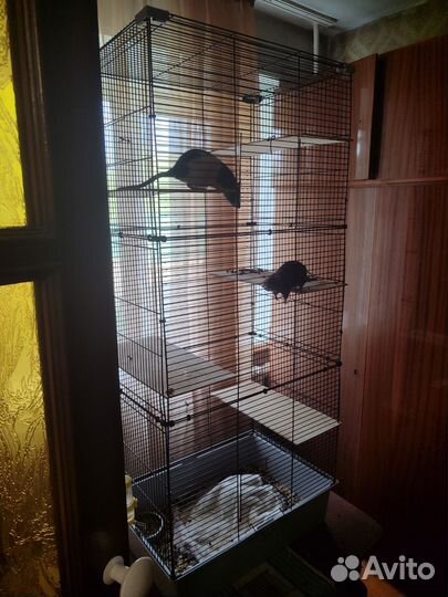 Клетка для грызунов
