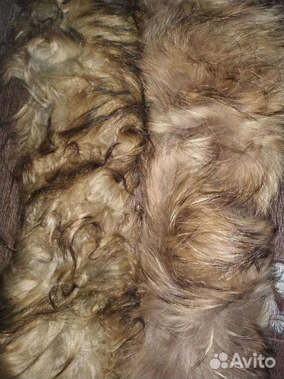 Воротник, 2 шт