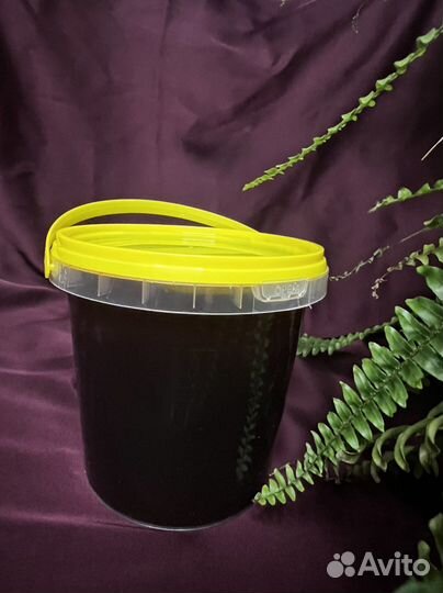 Кашатновый мёд, Казахстан, 2024г