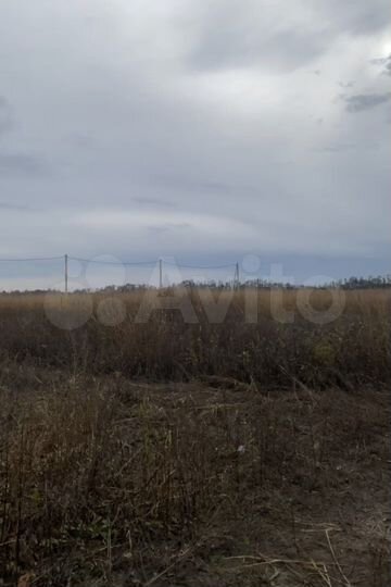 Участок 6 сот. (СНТ, ДНП)