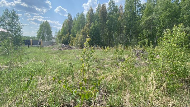 Участок 12,4 сот. (ИЖС)