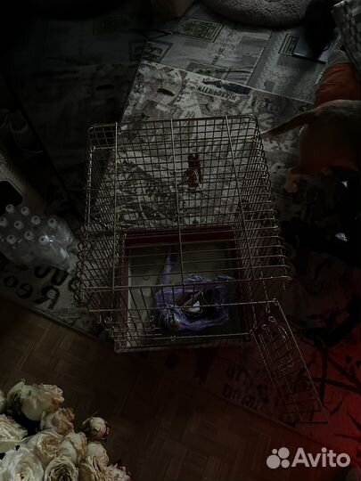 Клетка для крупного попугая