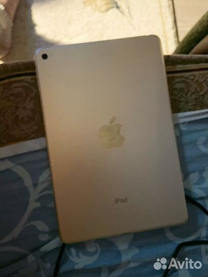 iPad A1538