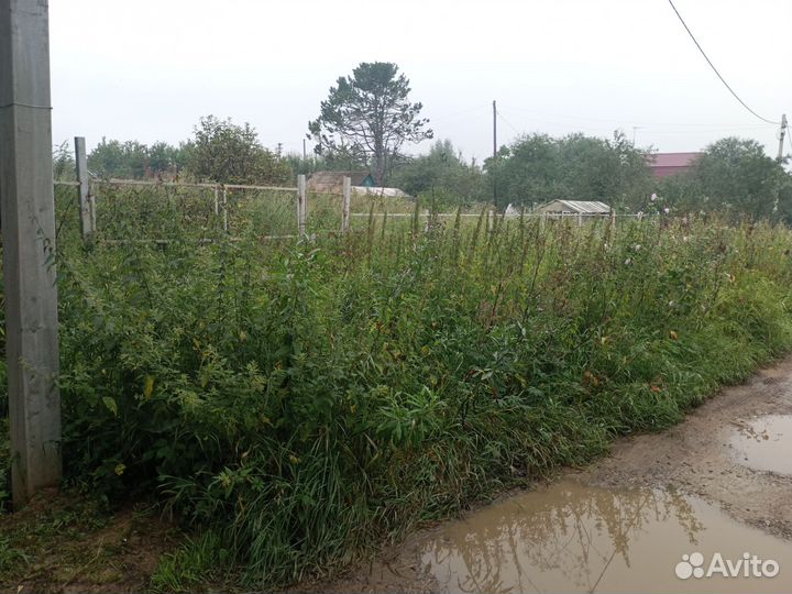 Покос травы любой сложности.Покос бурьяна