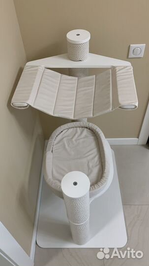 Кошачий комплекс