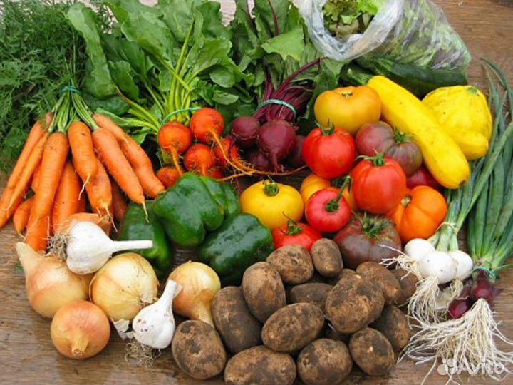 Перегной. Грунт. Торф. Навоз. Компост