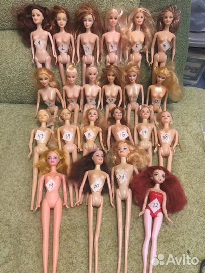 Барби, тела, головы