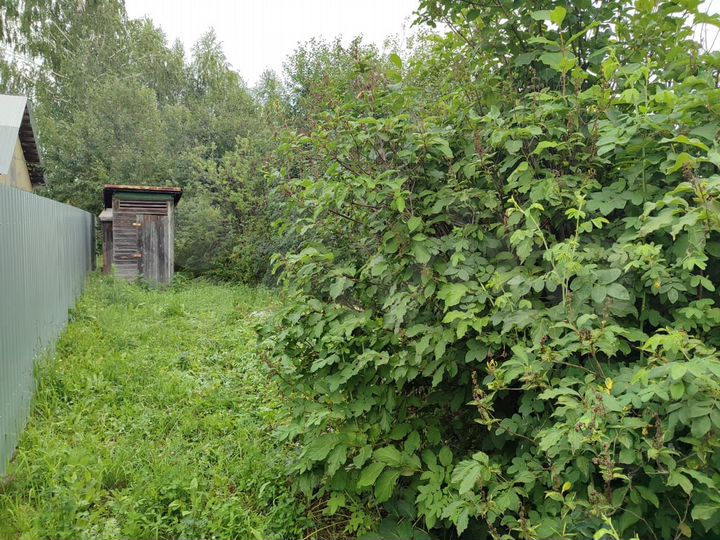 Участок 6,5 сот. (СНТ, ДНП)