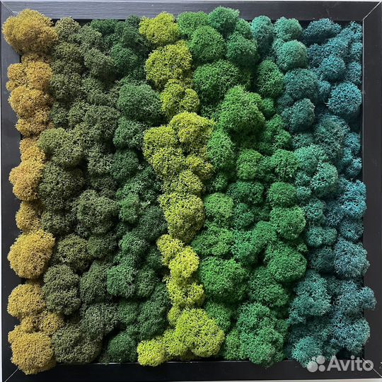 Мох Стабилизированный От Производителя